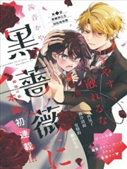 漫画《龙与虎》海报